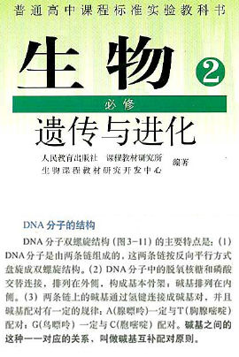吳思涵博士教程:DNA可不只有雙螺旋結(jié)構(gòu)-肽度TIMEDOO