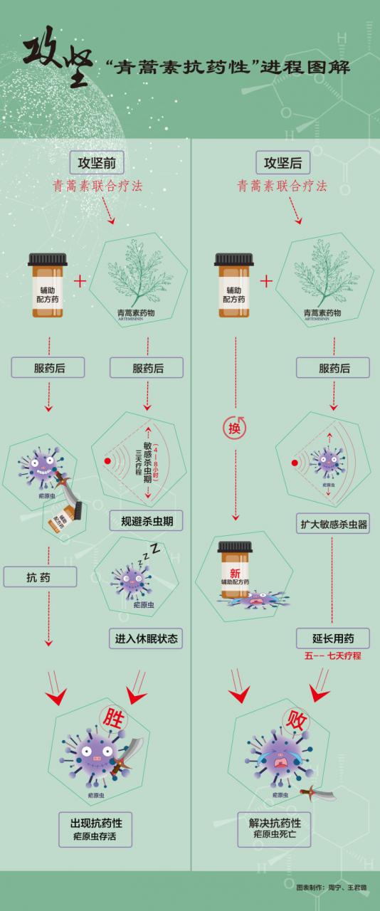 屠呦呦團(tuán)隊(duì)“青蒿素抗藥性”等研究獲新突破-肽度TIMEDOO