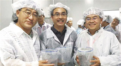 我國科學家發(fā)現(xiàn)強力滅蚊新工具-肽度TIMEDOO