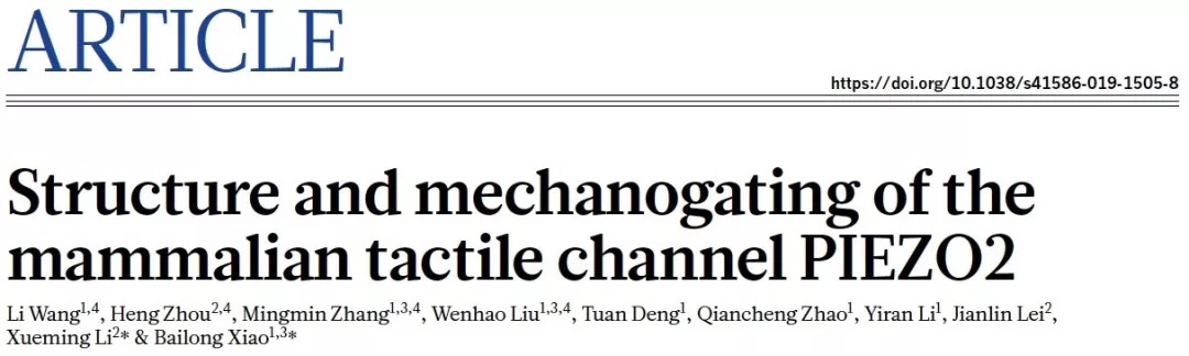 科研成果 | 清華大學肖百龍與李雪明課題組合作在《自然》發(fā)文揭秘介導人體觸覺感知的精巧分子機器結構與機制-肽度TIMEDOO