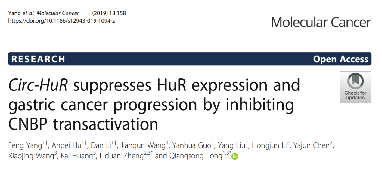童強松和鄭麗端教授連發(fā)兩篇10分circRNA研究論文-肽度TIMEDOO