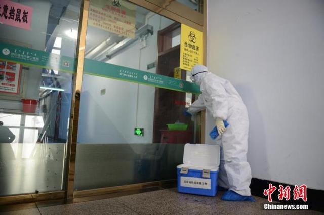 中國開放分享新冠病毒基因信息 科學(xué)界開展前所未有合作-肽度TIMEDOO