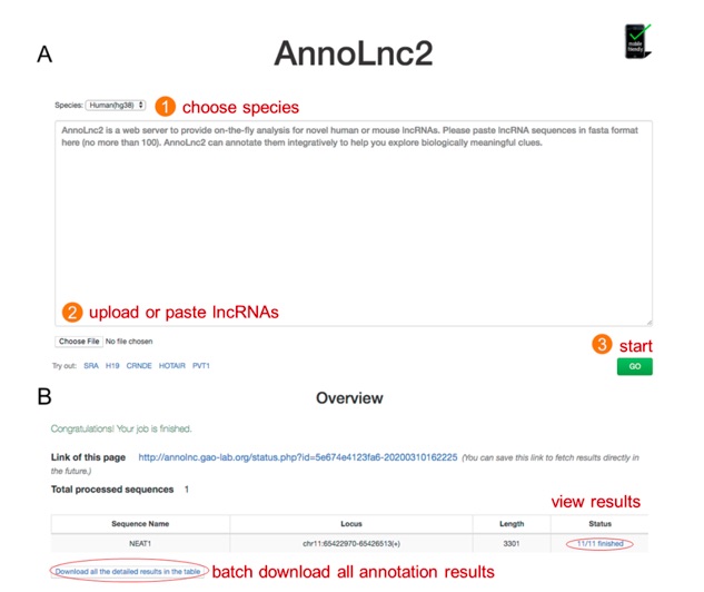 Nucleic Acids Research | 北京大學高歌團隊開發(fā)長非編碼RNA全面注釋平臺AnnoLnc2-肽度TIMEDOO
