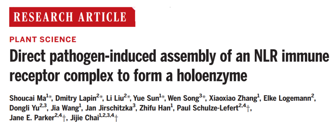 科研成果 | 清華大學(xué)柴繼杰課題組與合作者首次揭示植物TNL類抗病蛋白激活的分子機制-肽度TIMEDOO