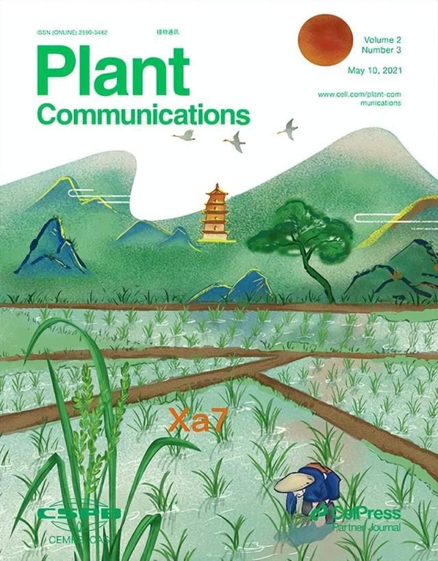 中國科研團(tuán)隊(duì)主辦植物科學(xué)研究類期刊躍居全球第一-肽度TIMEDOO