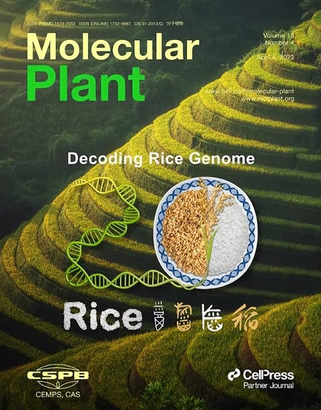 中國科研團(tuán)隊(duì)主辦植物科學(xué)研究類期刊躍居全球第一-肽度TIMEDOO