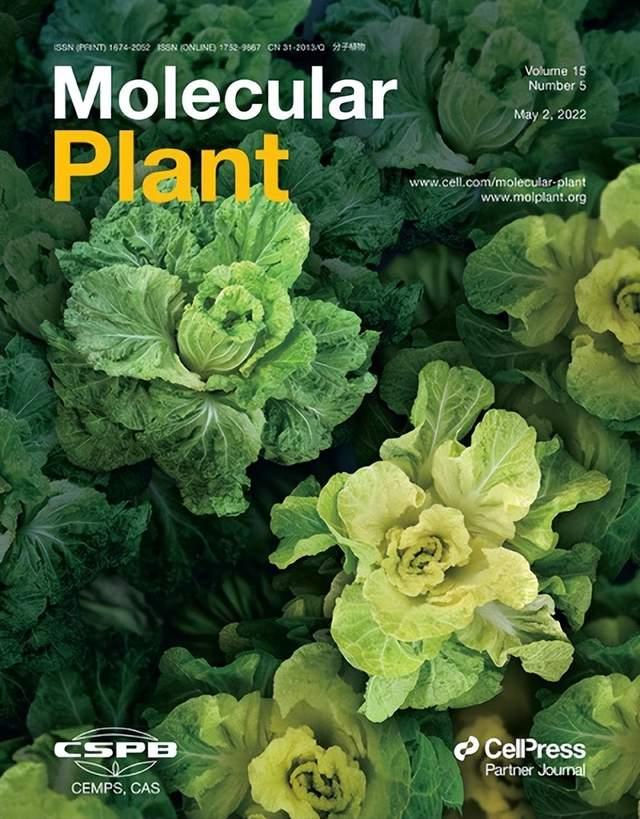 中國科研團(tuán)隊(duì)主辦植物科學(xué)研究類期刊躍居全球第一-肽度TIMEDOO