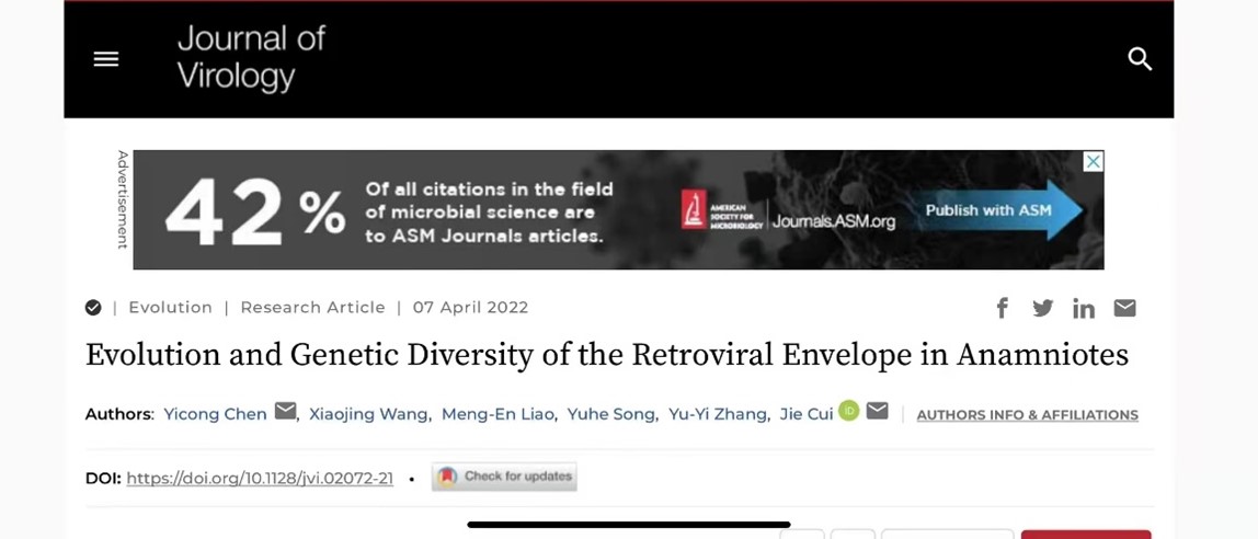 中國科學(xué)院上海巴斯德研究所崔杰課題組揭示逆轉(zhuǎn)錄病毒包膜蛋白的進化歷程和遺傳多樣性-肽度TIMEDOO
