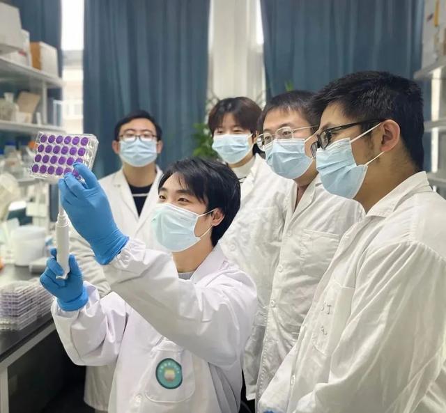 武大病毒學(xué)最新研究:首次揭示蝙蝠MERS相關(guān)冠狀病毒受體-肽度TIMEDOO