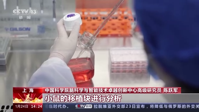 科技強(qiáng)國在路上丨守護(hù)生命健康 這些生物醫(yī)學(xué)領(lǐng)域有了新進(jìn)展-肽度TIMEDOO