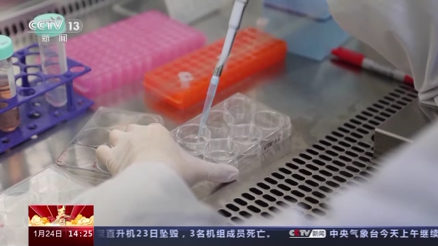 科技強(qiáng)國在路上丨守護(hù)生命健康 這些生物醫(yī)學(xué)領(lǐng)域有了新進(jìn)展-肽度TIMEDOO
