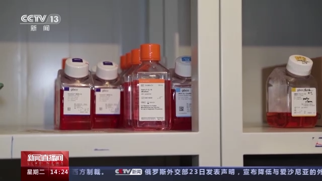 科技強(qiáng)國在路上丨守護(hù)生命健康 這些生物醫(yī)學(xué)領(lǐng)域有了新進(jìn)展-肽度TIMEDOO