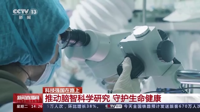 科技強(qiáng)國在路上丨守護(hù)生命健康 這些生物醫(yī)學(xué)領(lǐng)域有了新進(jìn)展-肽度TIMEDOO