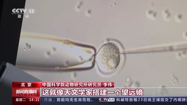 科技強(qiáng)國在路上丨守護(hù)生命健康 這些生物醫(yī)學(xué)領(lǐng)域有了新進(jìn)展-肽度TIMEDOO