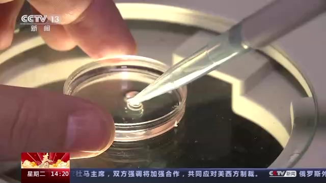 科技強(qiáng)國在路上丨守護(hù)生命健康 這些生物醫(yī)學(xué)領(lǐng)域有了新進(jìn)展-肽度TIMEDOO