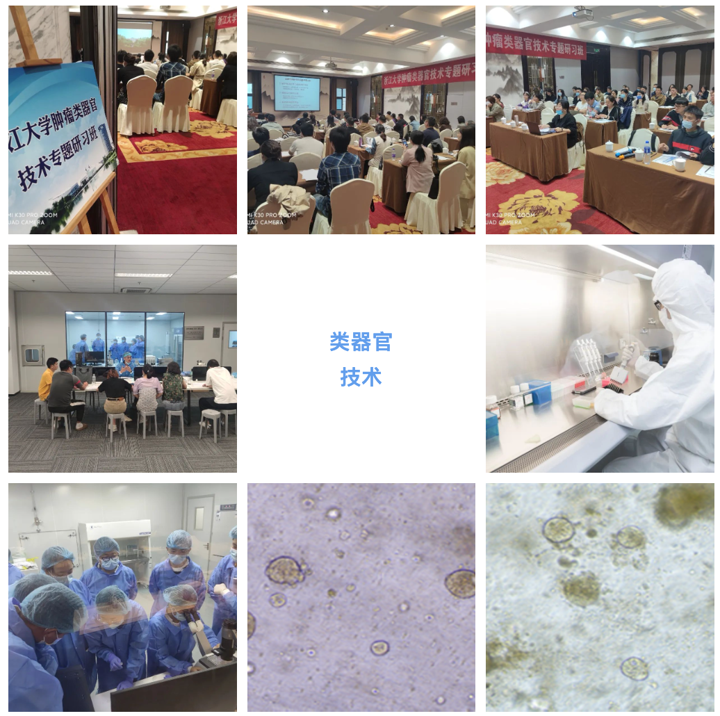 2023年3月30日-4月2日|浙江大學(xué)第4期腫瘤類器官專題研習(xí)班(名額有限)-肽度TIMEDOO