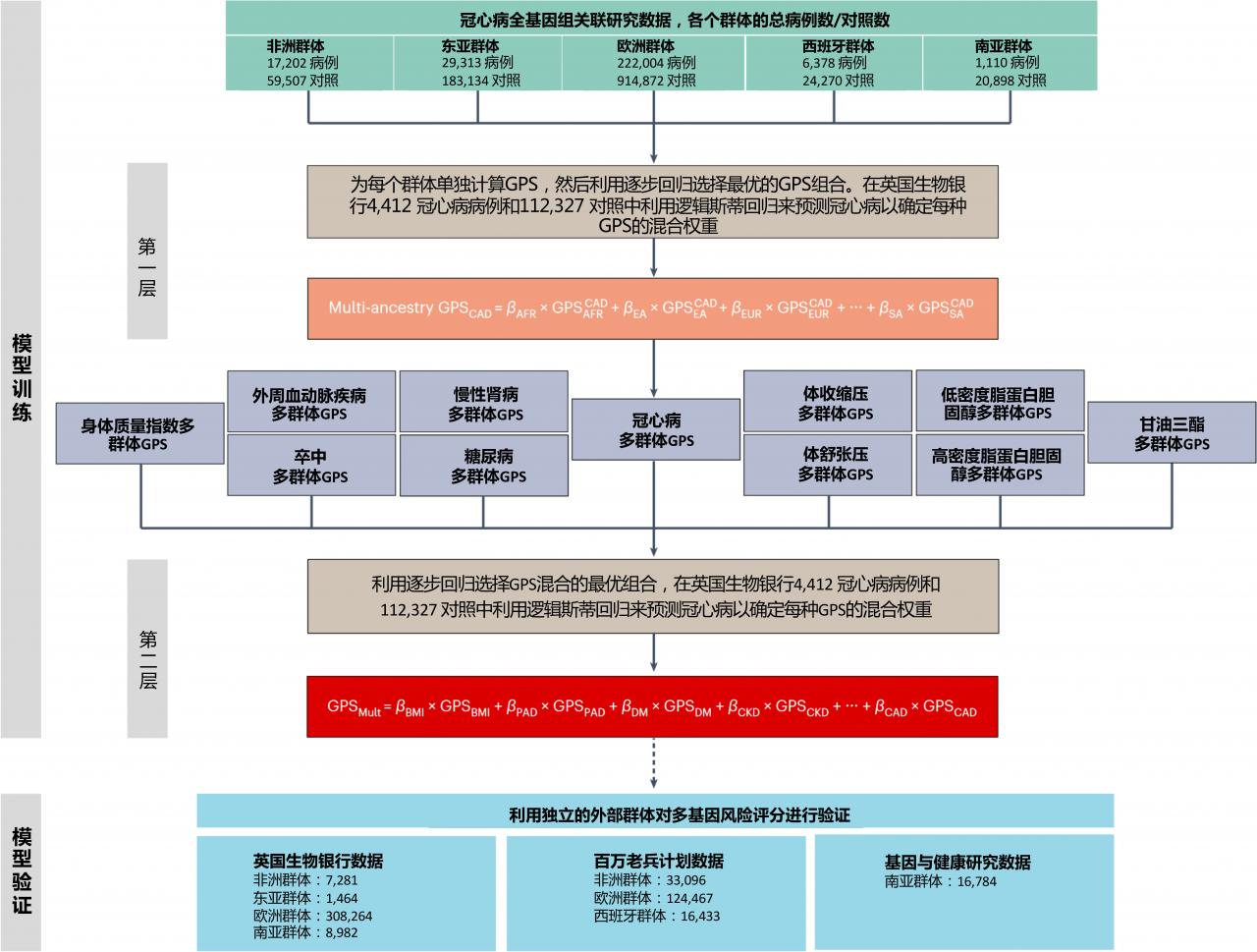 中美科學(xué)家合作開發(fā)預(yù)測冠心病患病風險模型-肽度TIMEDOO