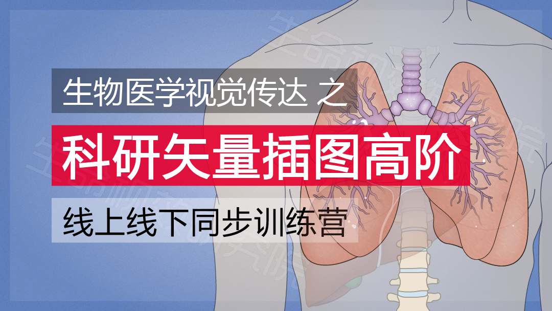 2024年3月16-17日·廣州·“科研矢量插圖”高階訓(xùn)練營(yíng)通知!-肽度TIMEDOO