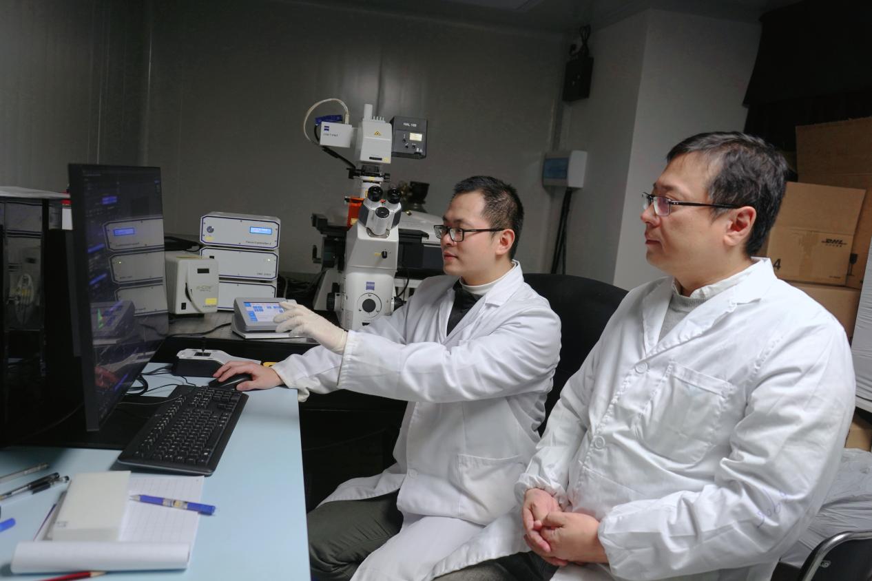 新型神經(jīng)調(diào)控策略助力阿爾茲海默病治療-肽度TIMEDOO